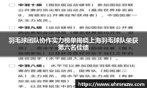 羽毛球团队协作实力榜单揭晓上海羽毛球队荣获第六名佳绩